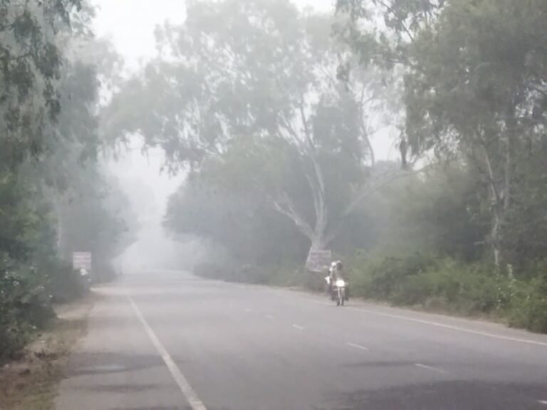 रेन बसेरा