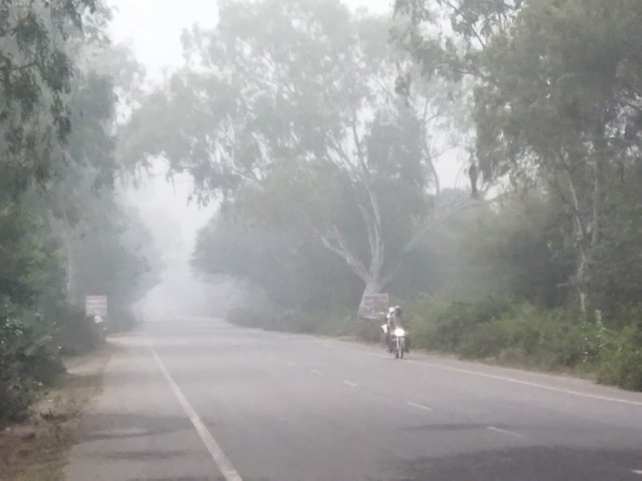 केशव राय पाटन रेन बसेरा 2026: नगर पालिका की मानवीय पहल, सर्दी में बेसहारा और यात्रियों को मिला सुरक्षित आश्रय