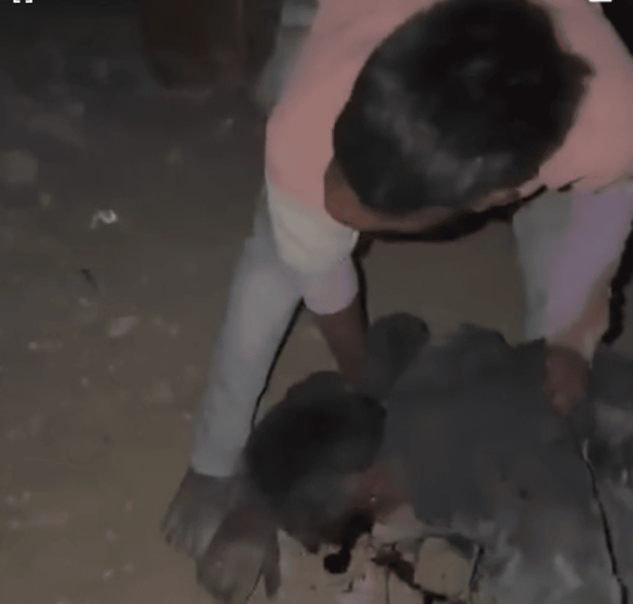 renew power plant murder: बाड़मेर के शिव में सोलर प्लांट कर्मचारी की धारदार हथियार से हत्या, इलाके में सनसनी