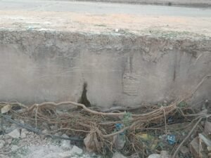 WhatsApp Image 2026 01 20 at 15.09.28