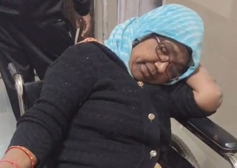 आवारा कुत्तों