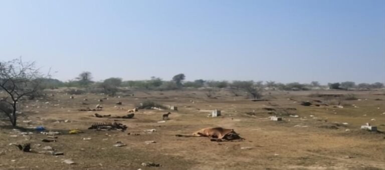 कचरा डंपिंग ग्राउंड